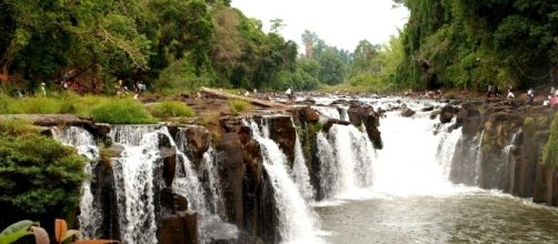 The tropics are one of the Earth's largest carbon sinks. Photo by Pixabay.