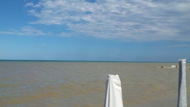 aletrevisani | marchebbello - wordpress.com