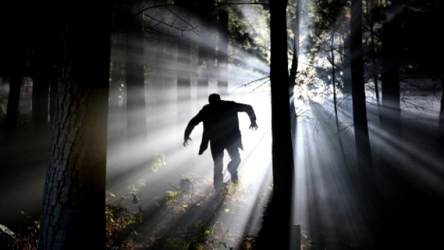 the Vampire Diaries 8: il ritorno di Elena