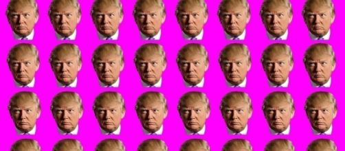 Trump is the better candidate compared to Johnson and Clinton