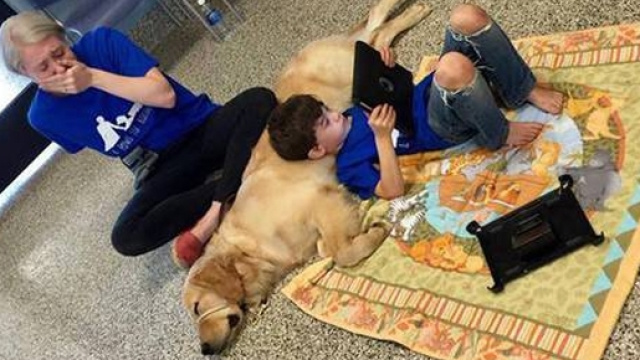 Nella foto si vede Kainoa con Tornado, il suo nuovo amico, mentre la mamma si commuove.