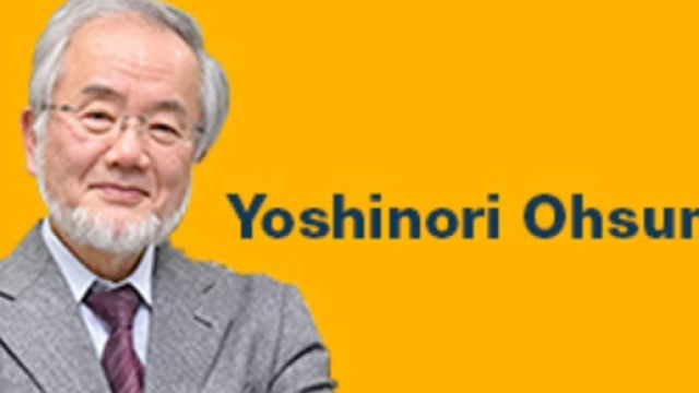 Home | Consiglio Nazionale delle Ricerche - cnr.it