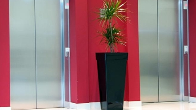 Il tasto per chiudere pi&ugrave; velocemente gli ascensori sarebbe una finzione.