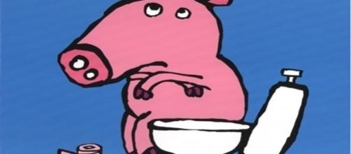 Segundo m&eacute;dicos, &eacute; muito importante saber defecar da forma correta