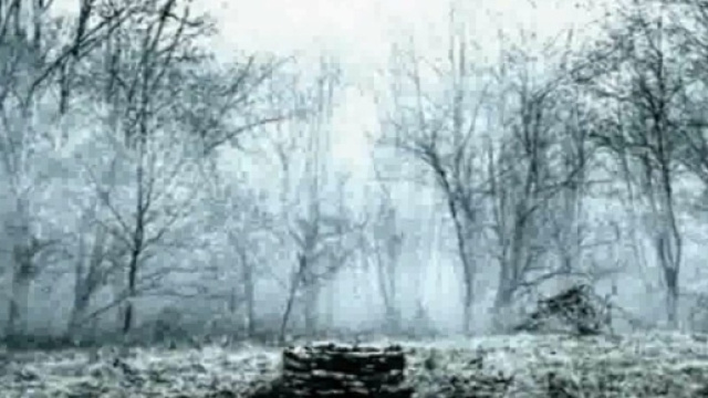 DeviantArt: More Like The Ring Dreamscene by wallybescotty - deviantart.com