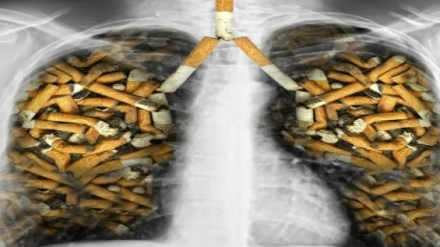 Immagine simbolica dei polmoni malati di sigarette