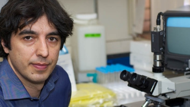 La dieta mima digiuno di Valter Longo per ridurre il rischio di cancro e malattie