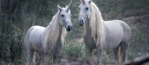 Casal de unic&oacute;rnio (representado hoje em dia)