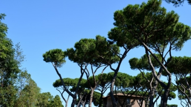 Parco del Colle Oppio | Roma | Zero - zero.eu