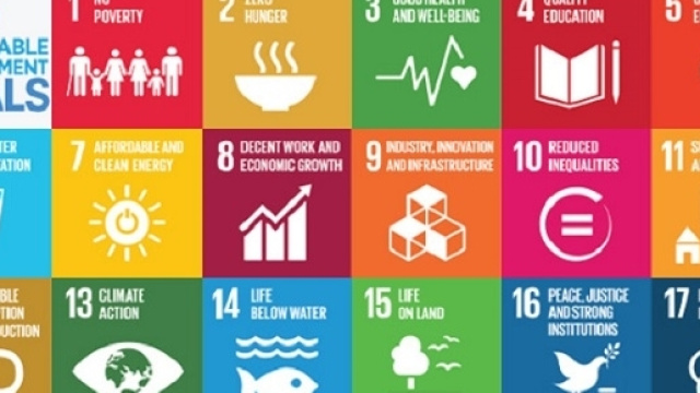 Sono 17 gli obiettivi di valore universale (Sustainable Development Goals; SDGs) che l'umanit&agrave; dovrebbe raggiungere entro il 2030.