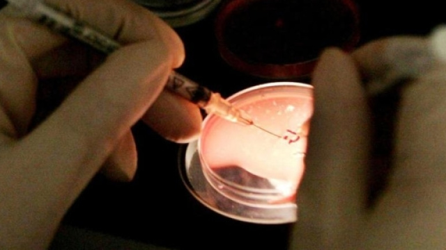 Allarme legionella a Parma: Pizzarotti criticato