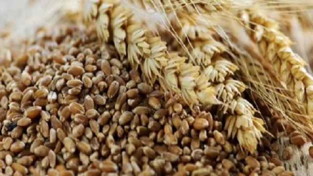 I cereali integrali hanno un effetto benefico sul cuore