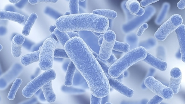 Parma: emergenza legionella, Pizzarotti: nessun motivo di ... - improntaunika.it