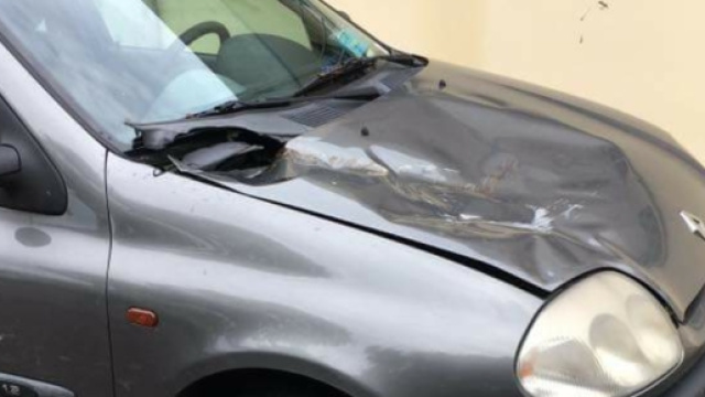 Dabni alle auto, a causa dei rami.