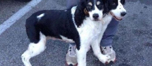 Fotografias com duplo sentido que v&atilde;o confundir a sua mente