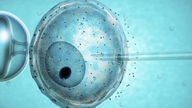 Fecondazione assistita, una nuova struttura a Pesaro