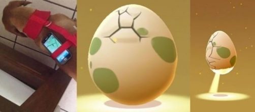 Este truco es &uacute;til para eclosionar huevos r&aacute;pido.