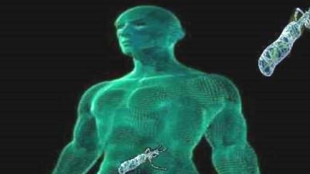 I probiotici contribuiscono ad eradicare l'helicobacter pylori.