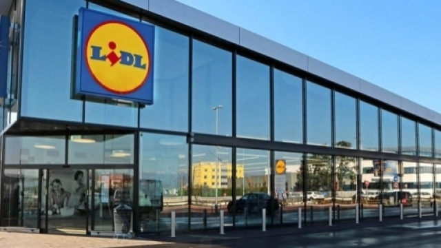 Lidl: posizioni ricercate e come candidarsi