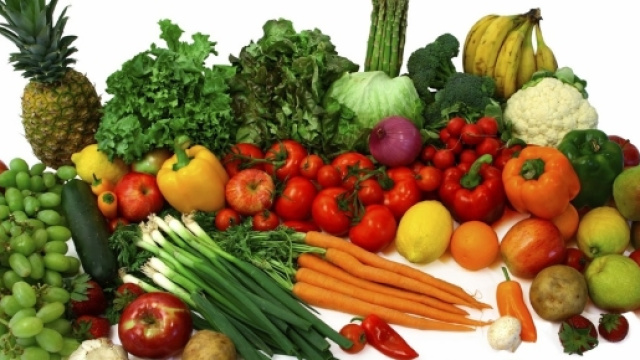 Patologie - VEGAN YOU CAN - veganyoucan.com