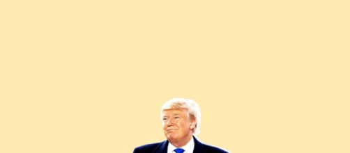 Trump: We Fell Down The Echo Chamber (image is in creative commons and sourced by the Blasting News Library)