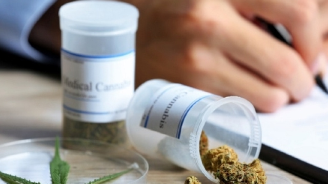 BNC. - Marijuana now legal in eight more US States while vendors ... - fedgeno.com