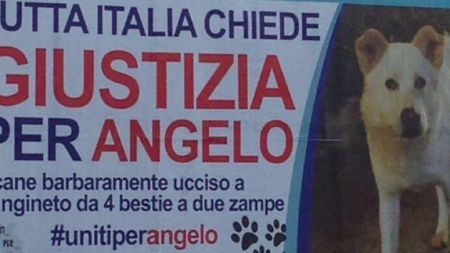 La petizione lanciata dopo i casi Angelo e Pil&ugrave;