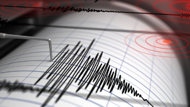 Sisma di 7.8 Richter scatena allarme tsunami in Nuova Zelanda