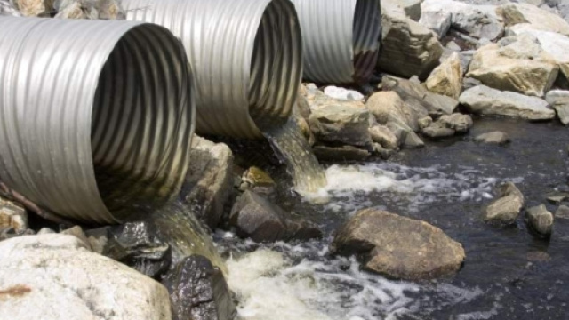 Acque inquinate in Veneto Greenpeace