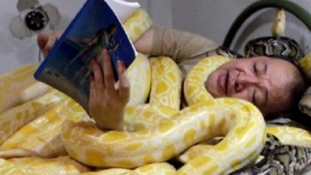 foto dell'uomo che vive relazione di coppia con un cobra