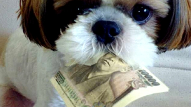 Animali: Spunta la tassa comunale su cani e gatti