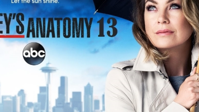 Anticipazioni Grey's Anatomy 13, Ellen Pompeo rinnova per un'altra ... - correttainformazione.it