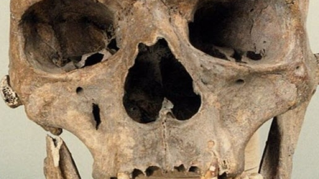 Il teschio del gigante ritrovato in Polonia