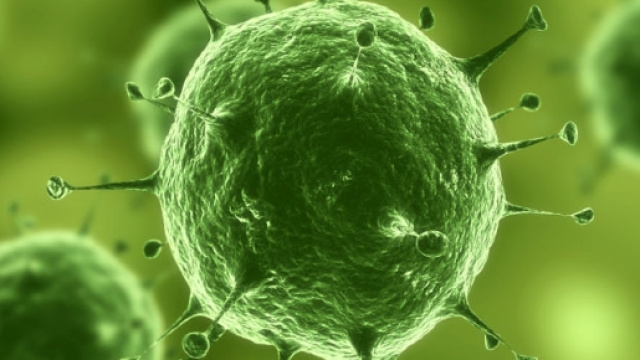 Batteri super resistenti fanno pi&ugrave; vittime degli incidenti stradali