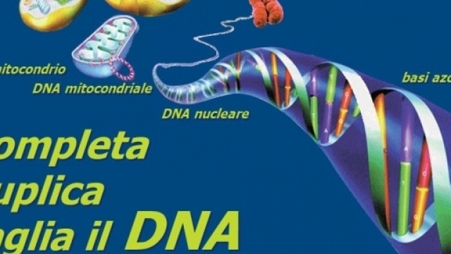 Cancro: la Cina cura i tumori con il 'taglia-incolla' del DNA.