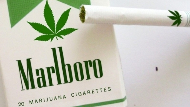 L'Italia apre al Monopolio di Stato sulla cannabis? (fotomontaggio)