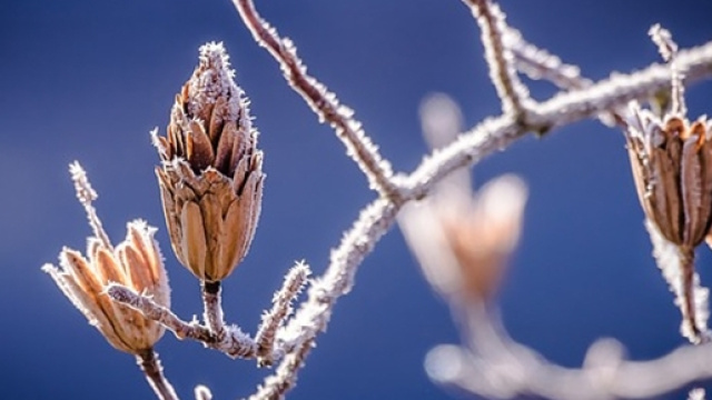 Previsioni del tempo inverno 2016-2017