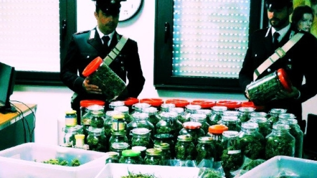 I nove chili di marijuana sequestrati dai Carabinieri.