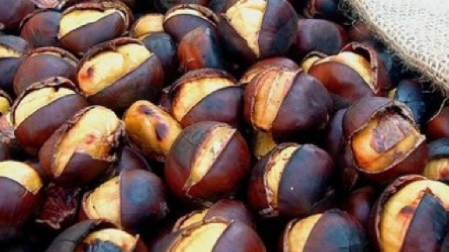 Fiere e sagre dell'autunno in Piemonte
