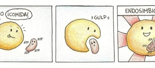 Ilustraci&oacute;n de "La Ciencia por Gusto" sobre la endosimbiosis
