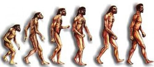 La evoluci&oacute;n humana a trav&eacute;s de llos tiempos