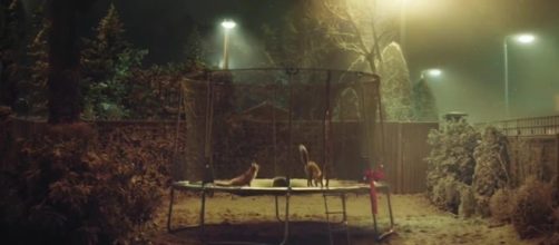 John Lewis Christmas advert: Buster the Boxer soft toy now on sale ... - chroniclelive.co.uk