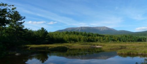 The Anthropocentric Arrogance Of Classical Environmentalism | Big ... - bigthink.com