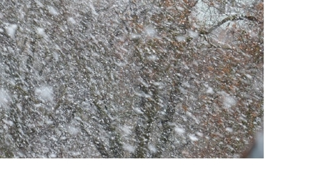 Arriva il freddo anche in Puglia?