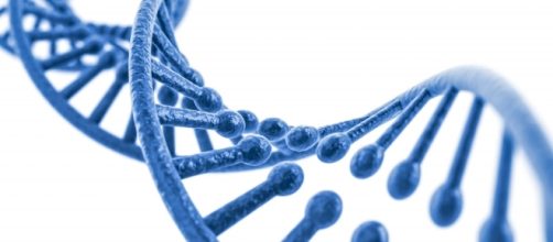 Estudios de ADN: Diferencias entre un estudio an&oacute;nimo y uno con ... - grupogamma.com