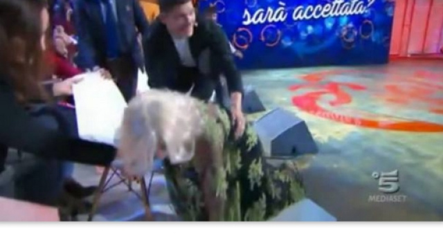 Tina cade durante la puntata di Selfie