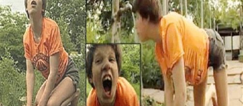 Casos de crian&ccedil;as criadas por animais