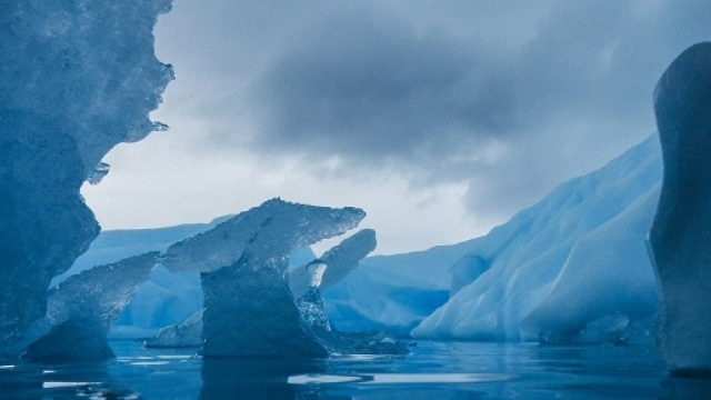 Vuoi farti un viaggio in antartide? Ecco come fare