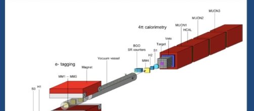 Observation of electron-positron pairs from a new particle with ... - slideplayer.com