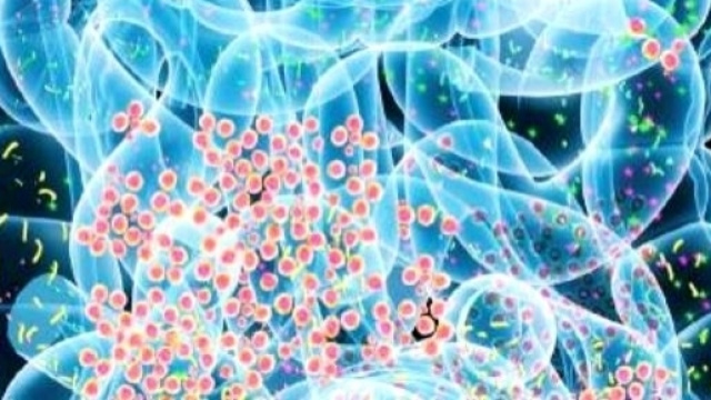 I probiotici possono contrastare la glicemia nel diabete di tipo 2.